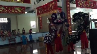 Lsr Song Anh 29 tết 2016