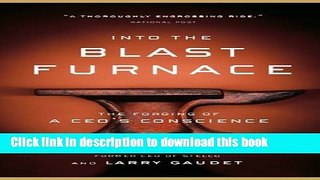 [Download] Into the Blast Furnace: The Forging of a CEO s Conscience Hardcover Online