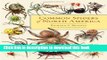 [Popular] Common Spiders of North America Hardcover OnlineCollection