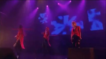 Dream Hands Up! Live Tour 2010 ~Road to Dream~ Part 2