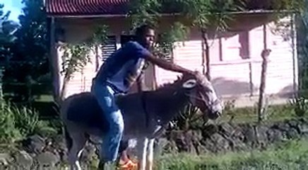 VID-20160810-WA0009[1]