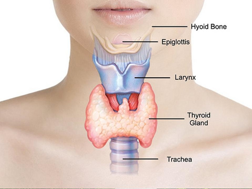 Cure Thyroid Disease