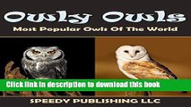 Barn Owls 10 Facts About Me Video Dailymotion