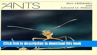 [Popular] The Ants Kindle OnlineCollection