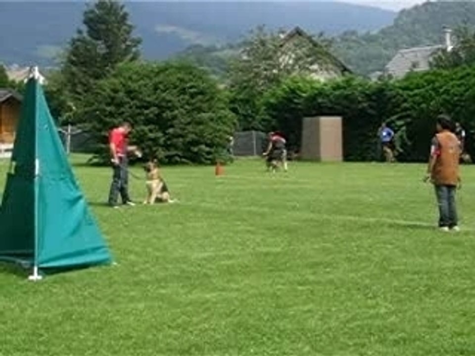 MVI_1229
