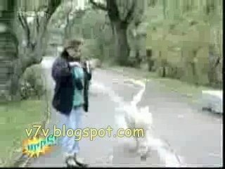 American funniest clips ever