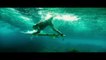 The Shallows - Clip - The Line Up