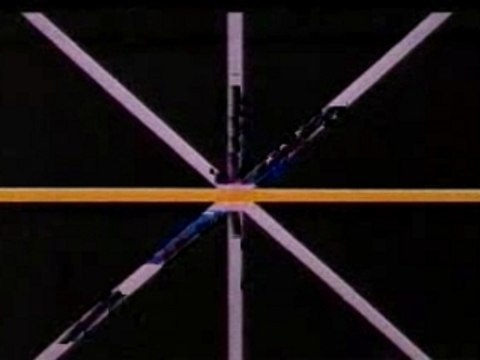 Bip-bip et Vil Coyote - Hairied And Hurried