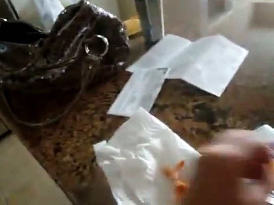 Dog doesnt like shrimp