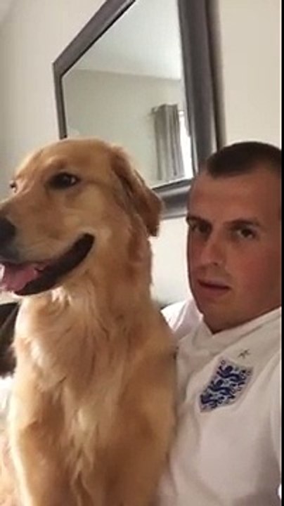 Annuncia Al Cane L'arrivo Di Un Fratellino: La Sua Reazione è Adorabile