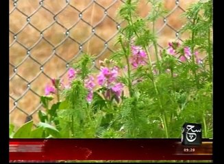 News Bulletin 09am 10 August 2016 - Such TV