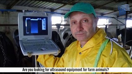 Are You Looking For Ultrasound Equipment For Farm Animals - Keebovet.com