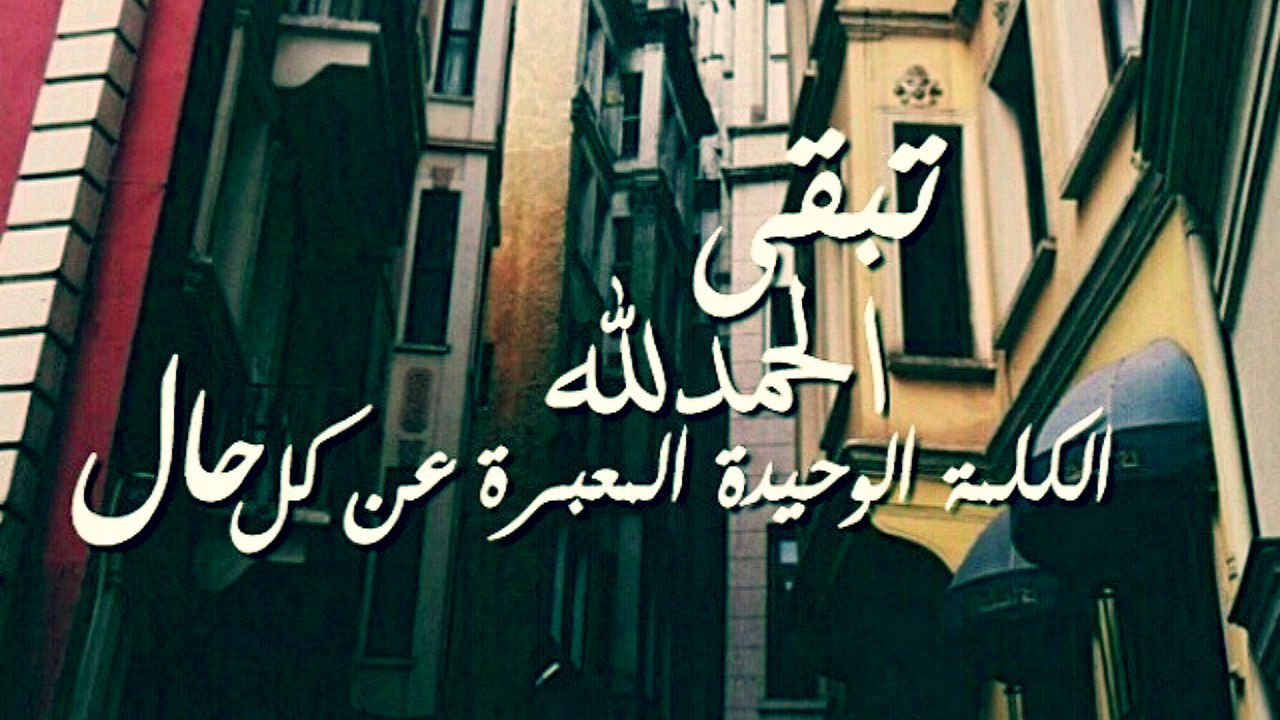 تلاوة رائعة من #سورة_النمل لا أعرف اسم القارئ