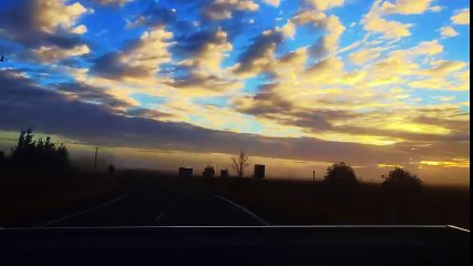 FOX Catch n Cook - TDB