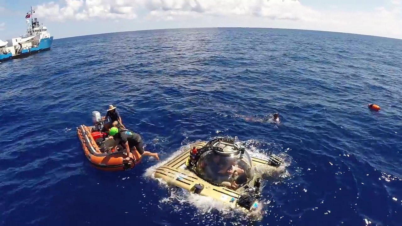 La mer des Sargasses