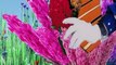 Carnevale di Viareggio 2017 - I Fiori di Giacinto (Bozzetto)