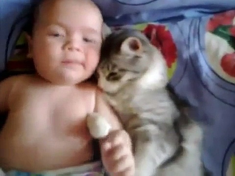 Dès Le Premier Contact, Ce Chat N'arrive Plus À Se Défaire De Ce Petit Bébé. Câlins À Volonté !