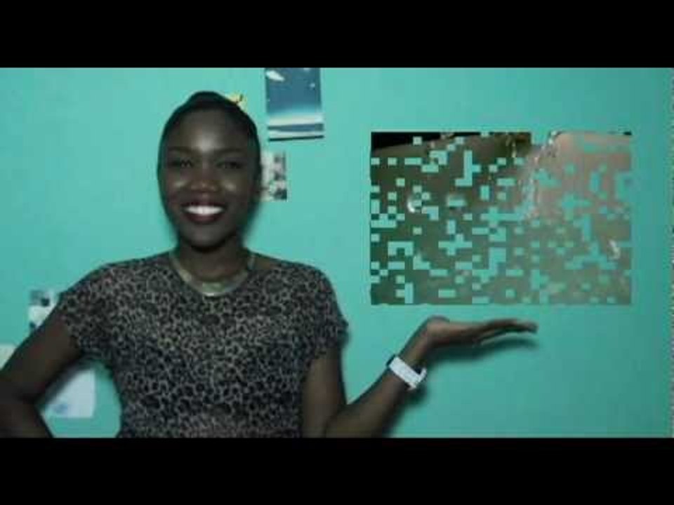 videozoo audition