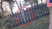 Michigan cop filmed saving deer stuck upside down on a fence - TomoNews