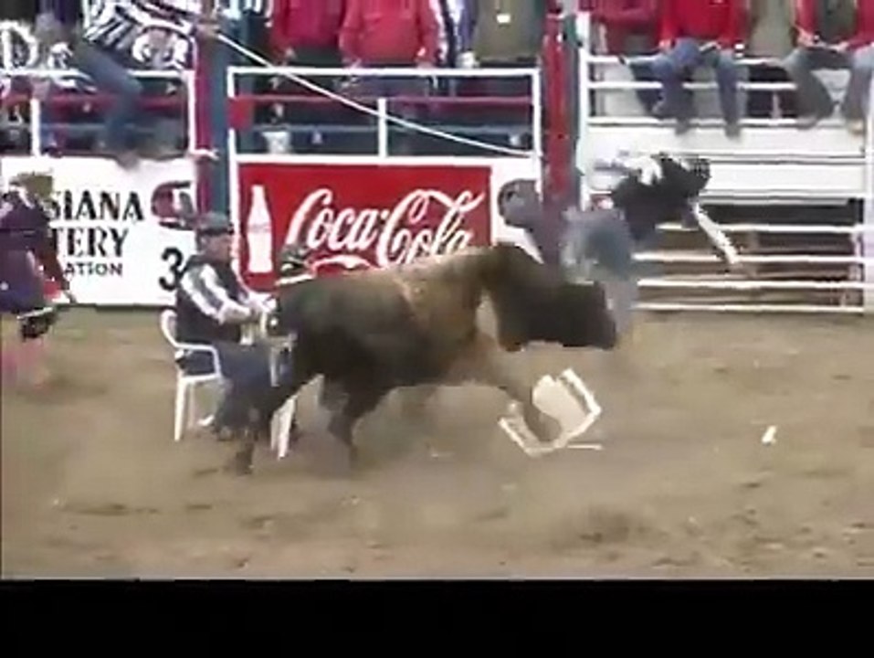 Bull fight