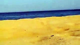 Tsunami in the Arabian Sea on 2013-09-24, observed in Ras-al-Hadd, Oman (video 4/4)