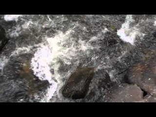 HF Bar Creek Summer 2012