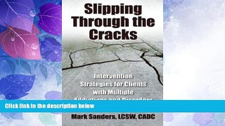 READ FREE FULL  Slipping Through the Cracks: Intervention Strategies for Clients with Multiple