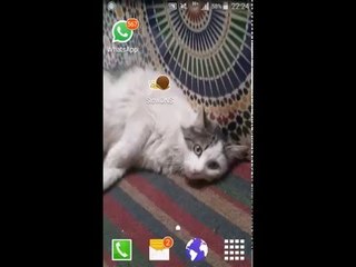 حصريا انترنيت مجانا في انوي بتطبيق Psiphon بعد ما تم قطعه جديييييد 2016 !!!!!!