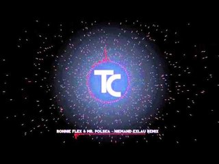 Ronnie Flex & Mr. Polska - Niemand (Exlau Remix)