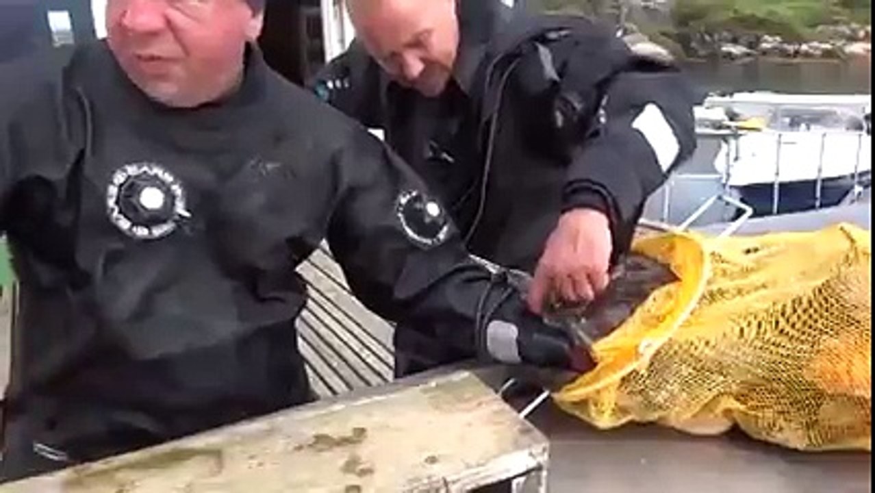 Balığa kol kaptırmak