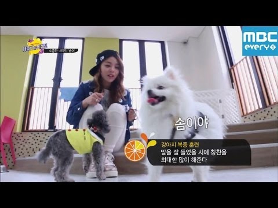 에일리의 비타민 3회 - 말 안듣는 애완견 솜이, 본격 복종 훈련! / Ailee /...