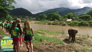 What is the Camp Thailand Elephant Sanctuary like?