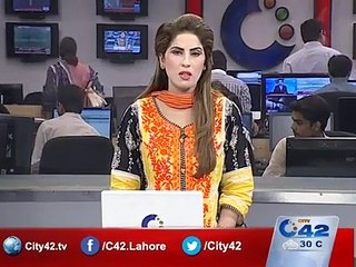 Maryam Nawaz worried about Fake & Parody Twitter Accounts
