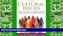 Big Deals  Cultural Issues in Play Therapy  Best Seller Books Most Wanted