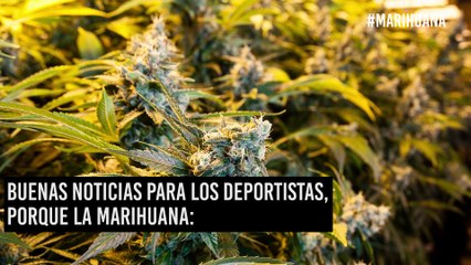 Polémica: Aprueban consumo de marihuana para deportistas olímpicos