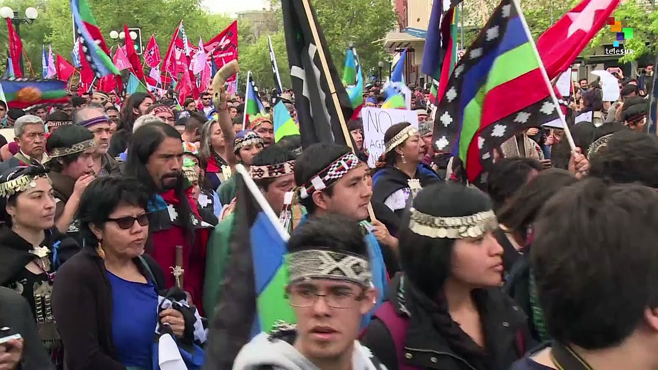 Mapuche Resist
