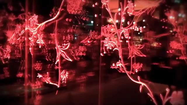 Deiss Dinner Chez Senderens à Paris le Vendredi 20 Novembre 2010