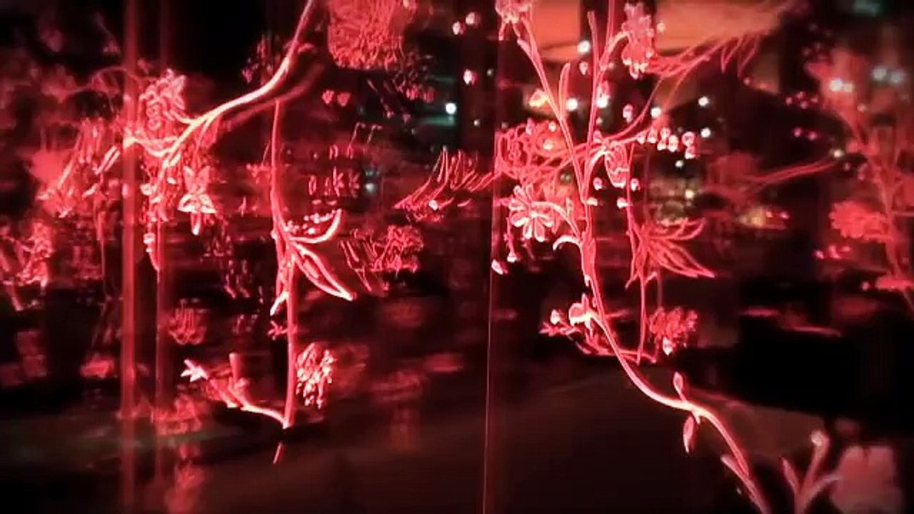 Deiss Dinner Chez Senderens à Paris le Vendredi 20 Novembre 2010