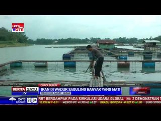 Banyak Ikan di Waduk Saguling Mati