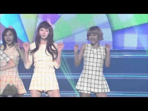 헬로비너스 차 마실래 쇼챔피언 63회