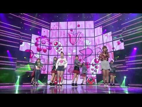 피기돌스 Butterflies 쇼챔피언 80회