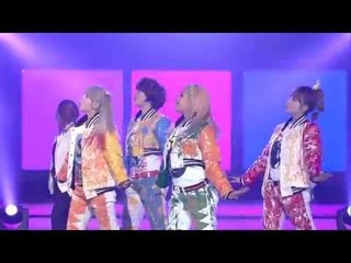 타이니지 미니마니모   쇼챔피언 48회