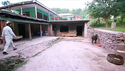 Imran Khan Full Filled His Promise See How Two Sisters Telling