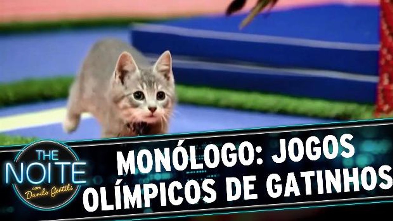 Monólogo: Jogos Olímpicos de GATINHOS!