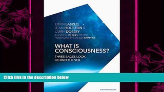 book online What is Consciousness?: Three Sages Look Behind the Veil (A New Paradigm Book)