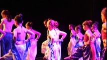 Centre de danse Art'&Forme(gala 2016 photos 4)