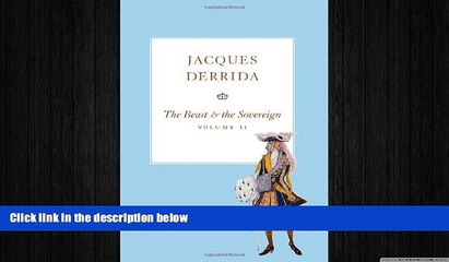 different   The Beast and the Sovereign, Volume II (The Seminars of Jacques Derrida)