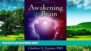 Must Have  Awakening the Brain: The Neuropsychology of Grace  READ Ebook Full Ebook Free