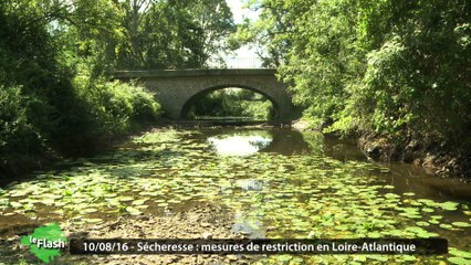 Le Flash : début de sécheresse en Loire-Atlantique
