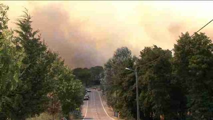 Rebelo de Sousa insta a reordenar el territorio para prevenir incendios